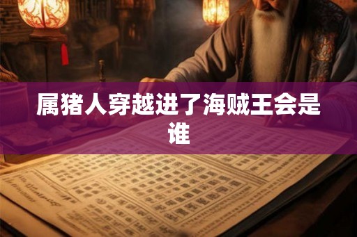 属猪人穿越进了海贼王会是谁 属猪人穿越进了海贼王会是谁