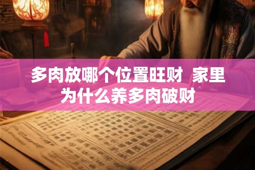 多肉放哪个位置旺财  家里为什么养多肉破财