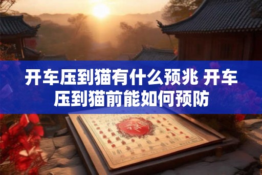 开车压到猫有什么预兆 开车压到猫前能如何预防