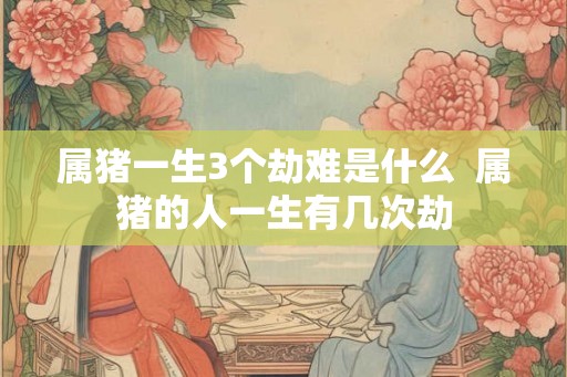 属猪一生3个劫难是什么 属猪的人一生有几次劫 属猪一生3个劫难是什么 属猪的人一生有几次劫