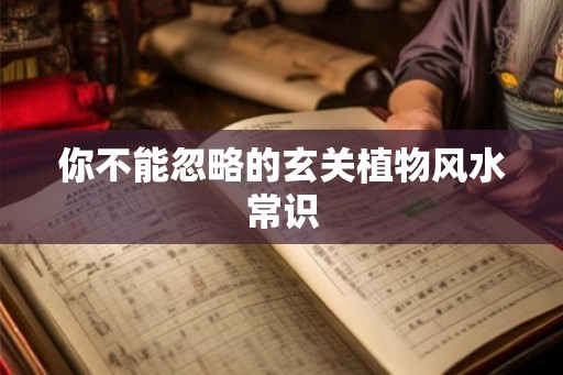 你不能忽略的玄关植物风水常识