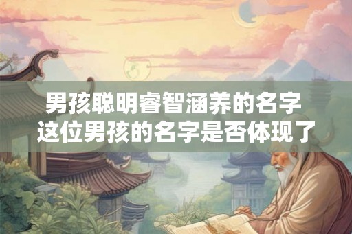 男孩聪明睿智涵养的名字 这位男孩的名字是否体现了聪明睿智的涵养