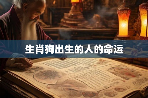 生肖狗出生的人的命运