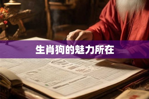 生肖狗的魅力所在