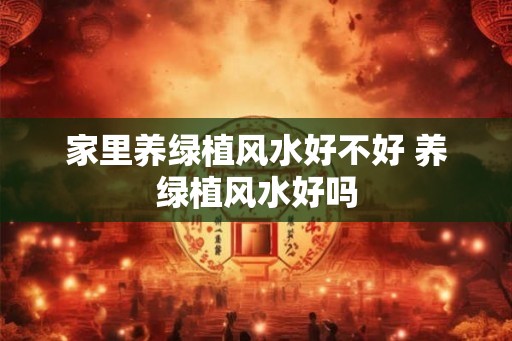 家里养绿植风水好不好 养绿植风水好吗