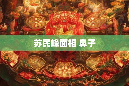 苏民峰面相 鼻子