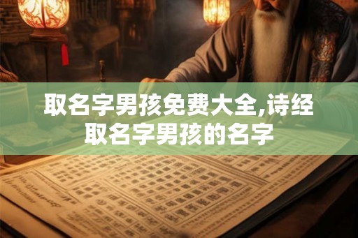 取名字男孩免费大全,诗经取名字男孩的名字