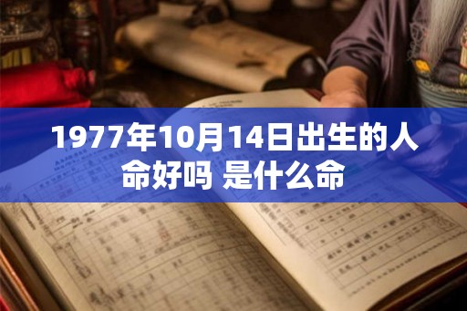 1977年10月14日出生的人命好吗 是什么命