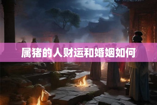 属猪的人财运和婚姻如何