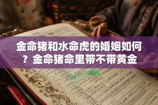 金命猪和水命虎的婚姻如何？金命猪命里带不带黄金