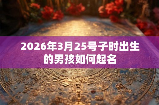 2026年3月25号子时出生的男孩如何起名