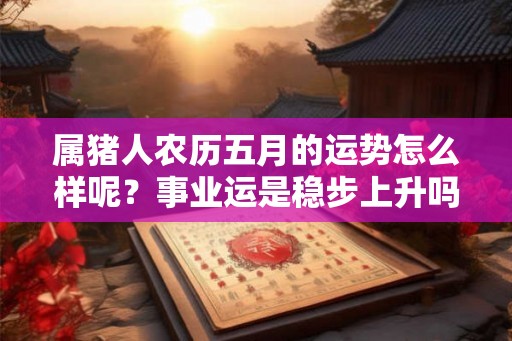 属猪人农历五月的运势怎么样呢？事业运是稳步上升吗？