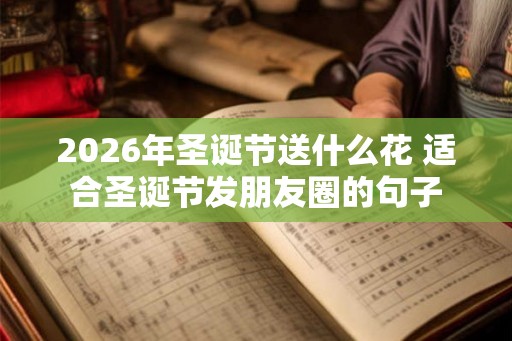 2026年圣诞节送什么花 适合圣诞节发朋友圈的句子 2026年圣诞节送什么花 适合圣诞节发朋友圈的句子