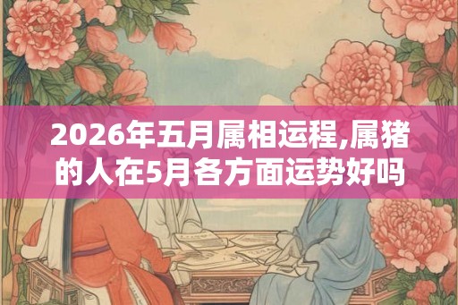 2026年五月属相运程,属猪的人在5月各方面运势好吗