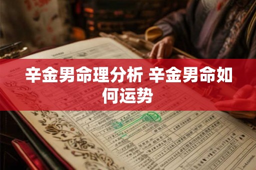 辛金男命理分析 辛金男命如何运势 辛金男命理分析 辛金男命如何运势