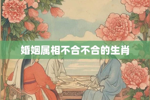 婚姻属相不合不合的生肖