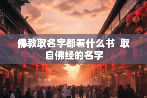佛教取名字都看什么书 取自佛经的名字 佛教取名字都看什么书 取自佛经的名字