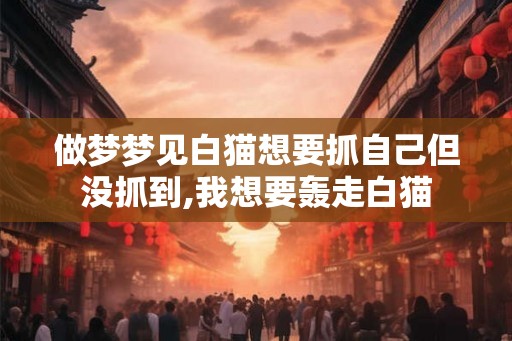 做梦梦见白猫想要抓自己但没抓到,我想要轰走白猫