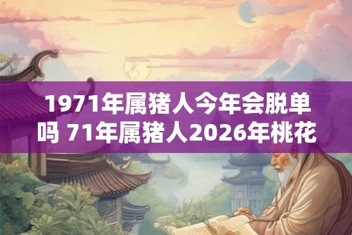 1971年属猪人今年会脱单吗 71年属猪人2026年桃花运 1971年属猪人今年会脱单吗 71年属猪人2026年桃花运