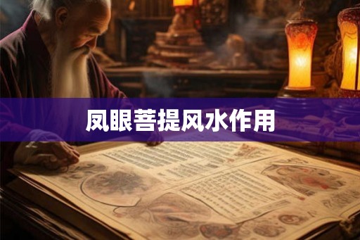 凤眼菩提风水作用