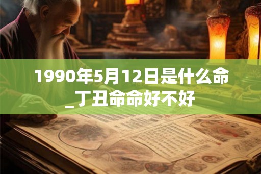 1990年5月12日是什么命_丁丑命命好不好