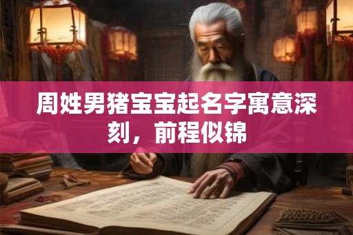 周姓男猪宝宝起名字寓意深刻，前程似锦