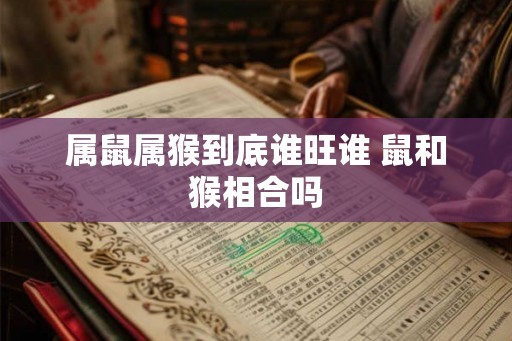 属鼠属猴到底谁旺谁 鼠和猴相合吗 属鼠属猴到底谁旺谁 鼠和猴相合吗
