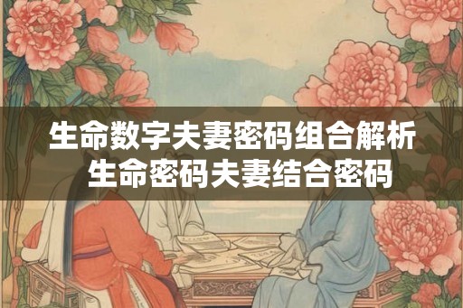 生命数字夫妻密码组合解析  生命密码夫妻结合密码