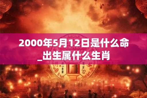 2000年5月12日是什么命_出生属什么生肖