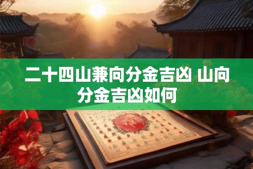 二十四山兼向分金吉凶 山向分金吉凶如何 二十四山兼向分金吉凶 山向分金吉凶如何