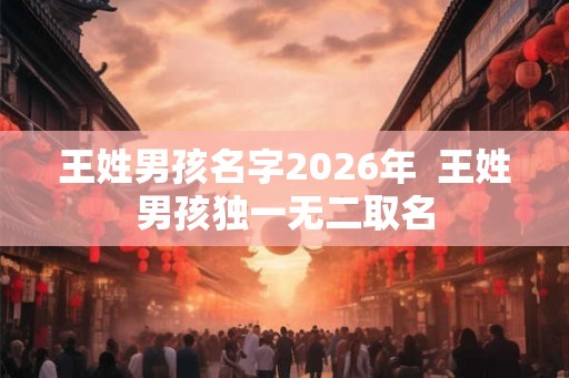 王姓男孩名字2026年  王姓男孩独一无二取名