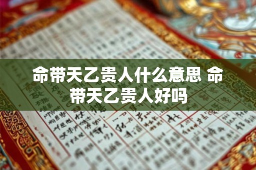 命带天乙贵人什么意思 命带天乙贵人好吗 命带天乙贵人什么意思 命带天乙贵人好吗
