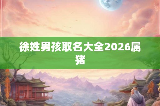 徐姓男孩取名大全2026属猪