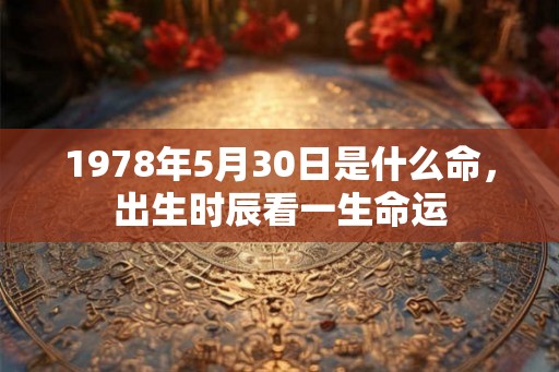 1978年5月30日是什么命，出生时辰看一生命运
