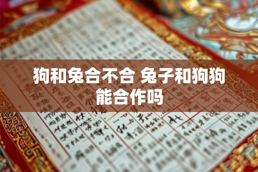 狗和兔合不合 兔子和狗狗能合作吗