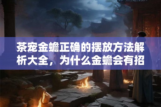 茶宠金蟾正确的摆放方法解析大全，为什么金蟾会有招财的寓意？