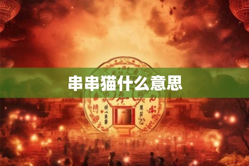 串串猫什么意思