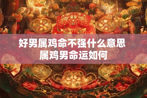 好男属鸡命不强什么意思 属鸡男命运如何