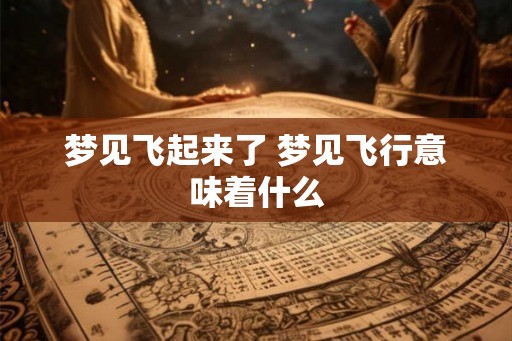 梦见飞起来了 梦见飞行意味着什么