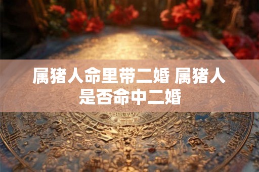 属猪人命里带二婚 属猪人是否命中二婚 属猪人命里带二婚 属猪人是否命中二婚