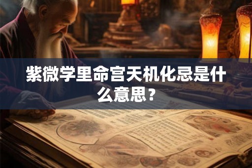 紫微学里命宫天机化忌是什么意思？