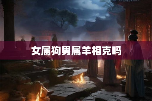 女属狗男属羊相克吗