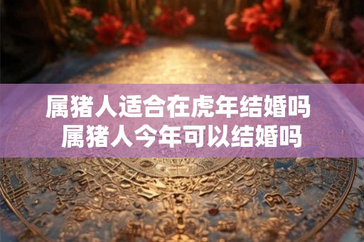 属猪人适合在虎年结婚吗 属猪人今年可以结婚吗 属猪人适合在虎年结婚吗 属猪人今年可以结婚吗