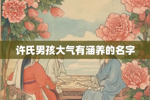 许氏男孩大气有涵养的名字