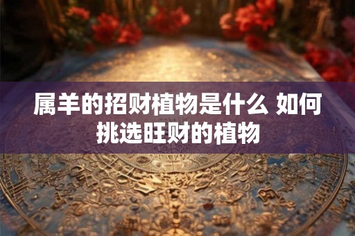 属羊的招财植物是什么 如何挑选旺财的植物