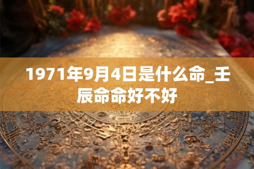 1971年9月4日是什么命_壬辰命命好不好