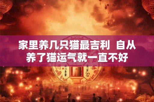 家里养几只猫最吉利 自从养了猫运气就一直不好 家里养几只猫最吉利 自从养了猫运气就一直不好