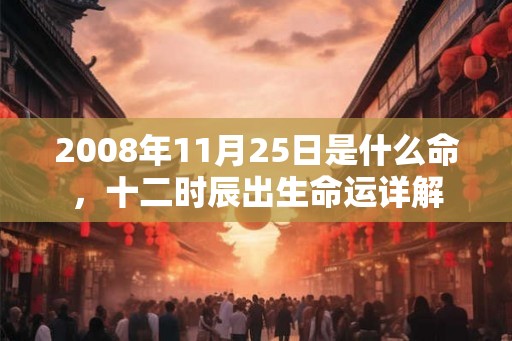 2008年11月25日是什么命，十二时辰出生命运详解