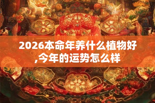 2026本命年养什么植物好,今年的运势怎么样