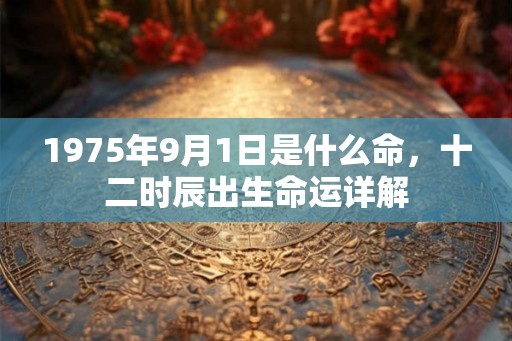 1975年9月1日是什么命，十二时辰出生命运详解